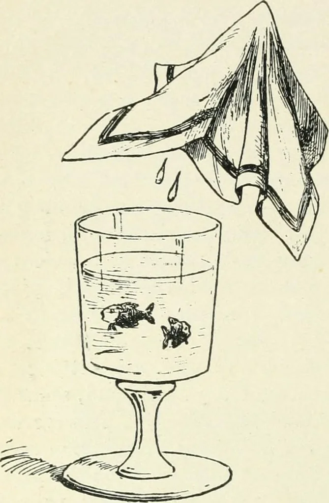 An illustration from Magic; stage illusions and scientific diversions, including trick photography, 1897, leaf 149