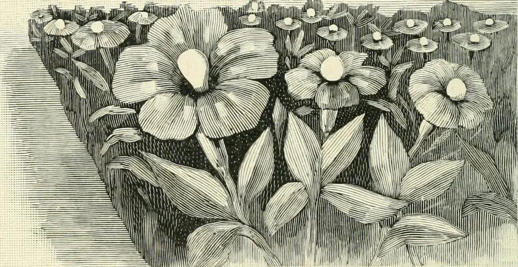 An illustration from Magic; stage illusions and scientific diversions, including trick photography, 1897, leaf 351