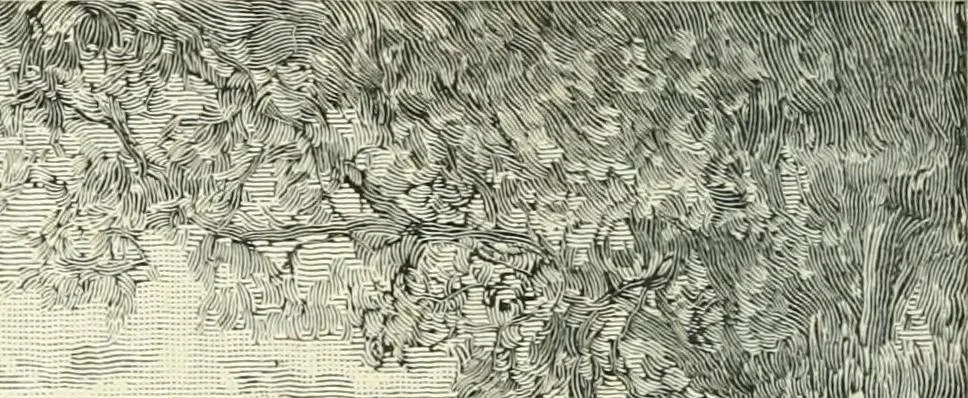 An illustration from Magic; stage illusions and scientific diversions, including trick photography, 1897, leaf 363