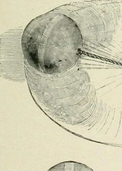 An illustration from Magic; stage illusions and scientific diversions, including trick photography, 1897, leaf 398