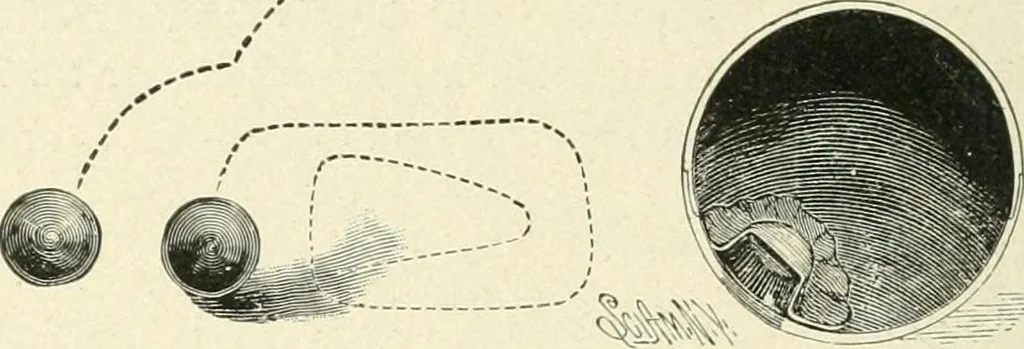 An illustration from Magic; stage illusions and scientific diversions, including trick photography, 1897, leaf 399