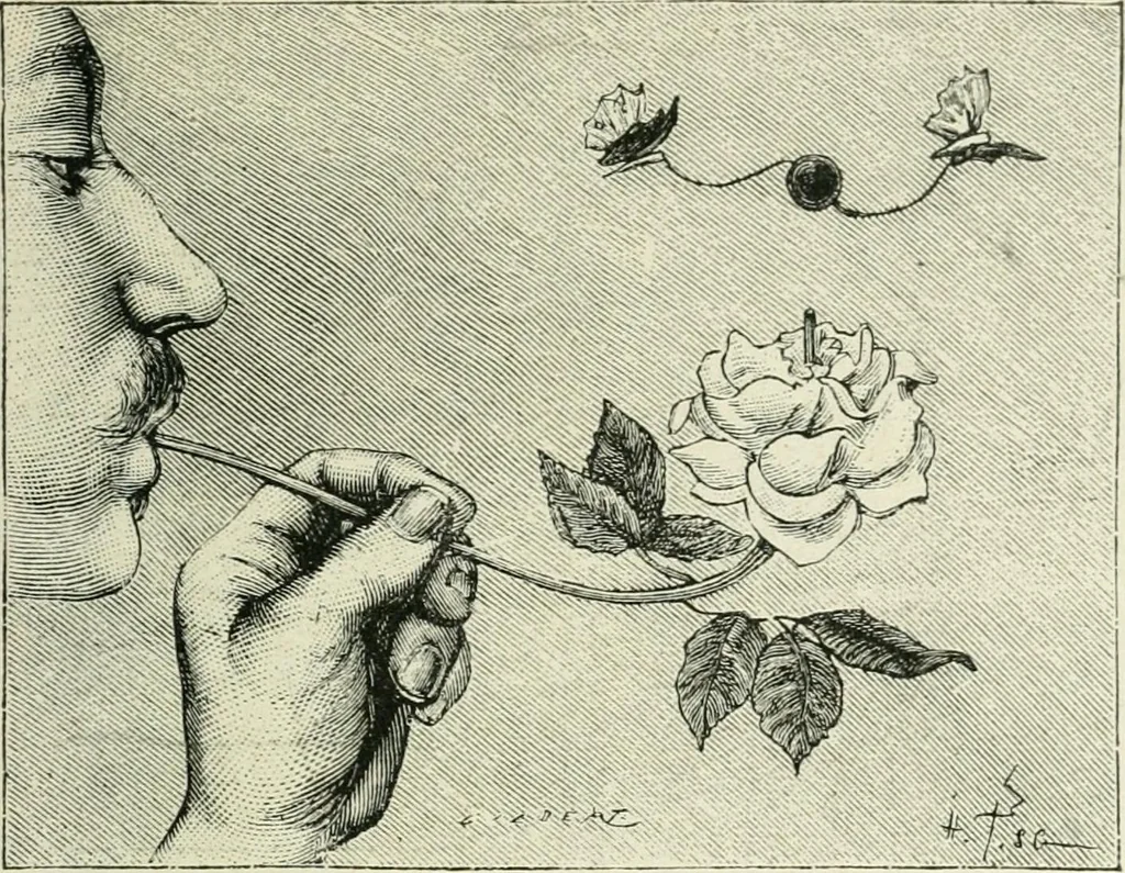 An illustration from Magic; stage illusions and scientific diversions, including trick photography, 1897, leaf 400