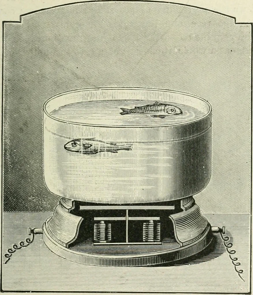 An illustration from Magic; stage illusions and scientific diversions, including trick photography, 1897, leaf 402