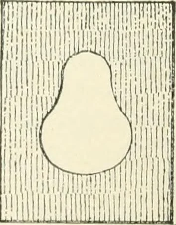 An illustration from Magic; stage illusions and scientific diversions, including trick photography, 1897, leaf 455