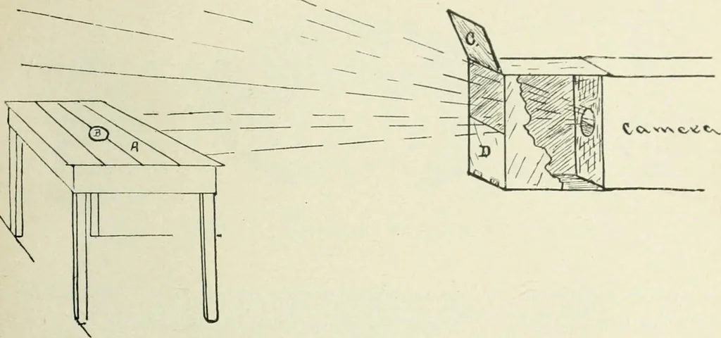 An illustration from Magic; stage illusions and scientific diversions, including trick photography, 1897, leaf 460