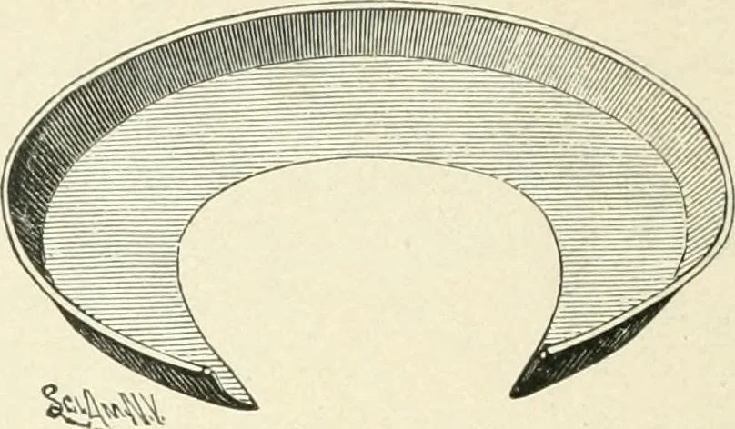 An illustration from Magic; stage illusions and scientific diversions, including trick photography, 1897, leaf 461