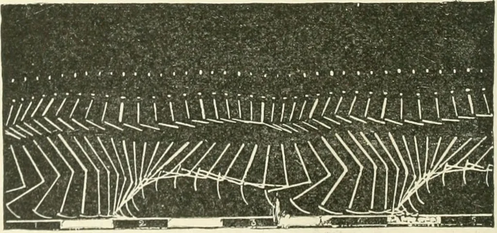 An illustration from Magic; stage illusions and scientific diversions, including trick photography, 1897, leaf 487