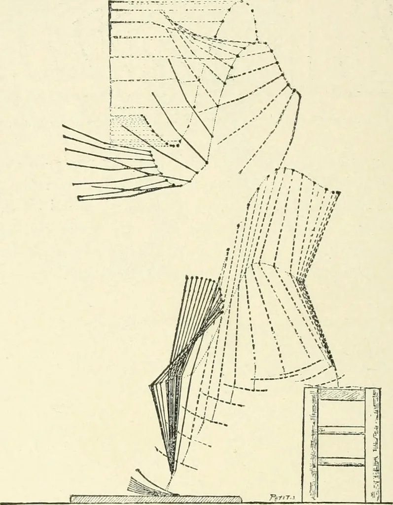 An illustration from Magic; stage illusions and scientific diversions, including trick photography, 1897, leaf 489