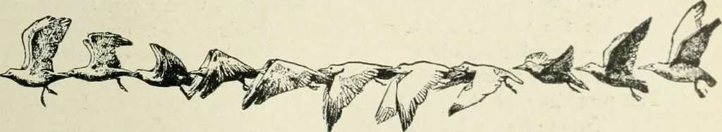 An illustration from Magic; stage illusions and scientific diversions, including trick photography, 1897, leaf 494