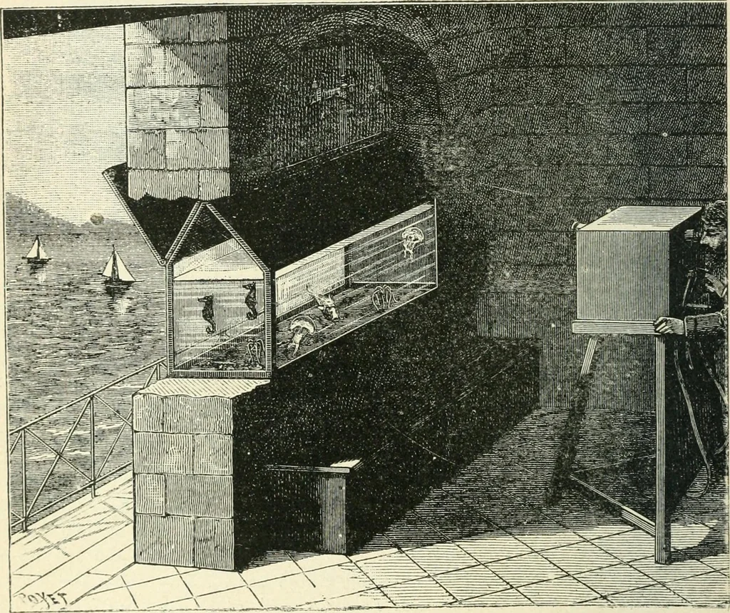 An illustration from Magic; stage illusions and scientific diversions, including trick photography, 1897, leaf 495