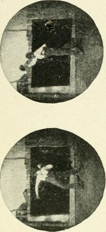 An illustration from Magic; stage illusions and scientific diversions, including trick photography, 1897, leaf 511