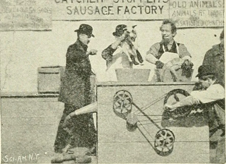 An illustration from Magic; stage illusions and scientific diversions, including trick photography, 1897, leaf 519