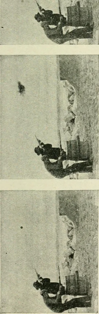 An illustration from Magic; stage illusions and scientific diversions, including trick photography, 1897, leaf 520