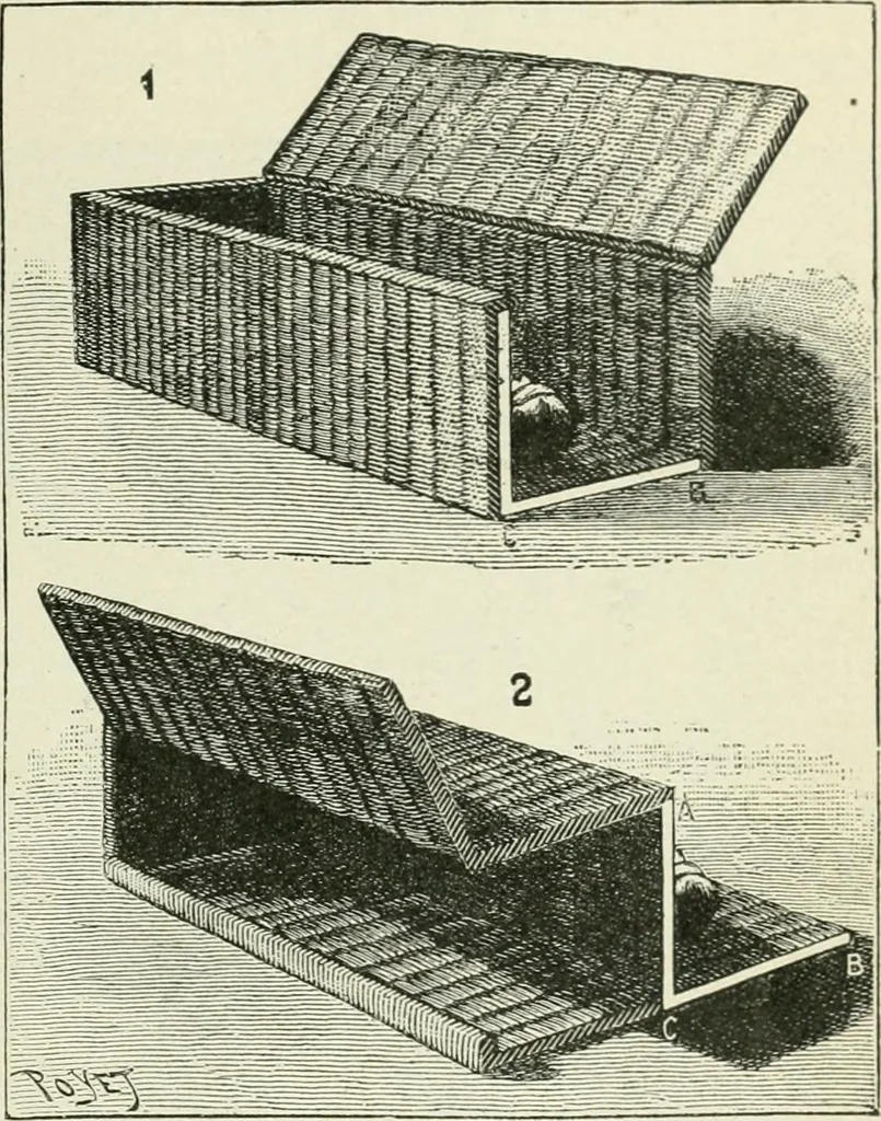 An illustration from Magic; stage illusions and scientific diversions, including trick photography, 1897, leaf 64