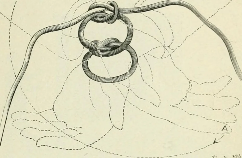 An illustration from Magic; stage illusions and scientific diversions, including trick photography, 1897, leaf 68