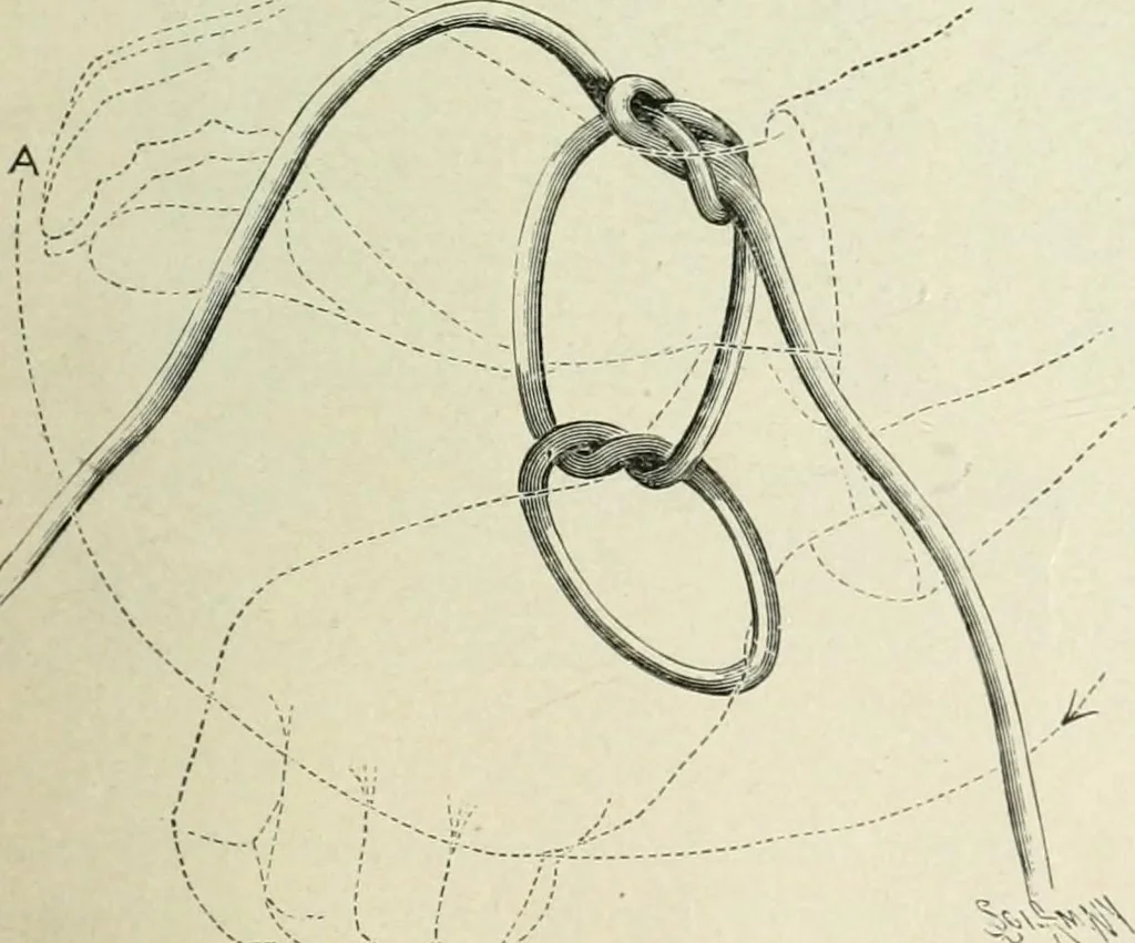 An illustration from Magic; stage illusions and scientific diversions, including trick photography, 1897, leaf 68
