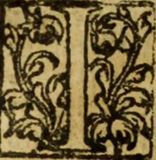 An illustration from Magna Charta cum statutis, tum antiquis, tum recentibus, maximopere, animo tenendis, nunc demum, ad vnum, tipis aedita, per Richardum Tottill, 1587, leaf 245