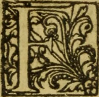 An illustration from Magna Charta cum statutis, tum antiquis, tum recentibus, maximopere, animo tenendis, nunc demum, ad vnum, tipis aedita, per Richardum Tottill, 1587, leaf 269