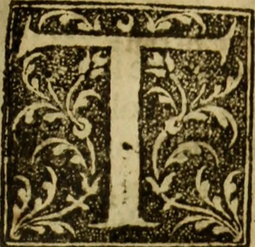 An illustration from Magna Charta cum statutis, tum antiquis, tum recentibus, maximopere, animo tenendis, nunc demum, ad vnum, tipis aedita, per Richardum Tottill, 1587, leaf 6