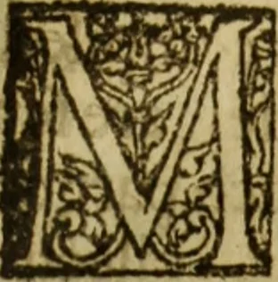 An illustration from Magna Charta cum statutis, tum antiquis, tum recentibus, maximopere, animo tenendis, nunc demum, ad vnum, tipis aedita, per Richardum Tottill, 1587, leaf 8