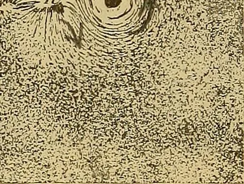 An illustration from Magnetische Kraftfelder : die Erscheinungen des Magnetismus, Elektromagnetismus und der Induktion dargestellt auf Grund des Kraftlinien-Begriffe, 1905, leaf 127