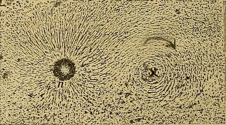 An illustration from Magnetische Kraftfelder : die Erscheinungen des Magnetismus, Elektromagnetismus und der Induktion dargestellt auf Grund des Kraftlinien-Begriffe, 1905, leaf 129