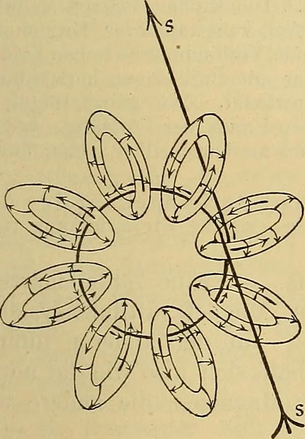 An illustration from Magnetische Kraftfelder : die Erscheinungen des Magnetismus, Elektromagnetismus und der Induktion dargestellt auf Grund des Kraftlinien-Begriffe, 1905, leaf 188