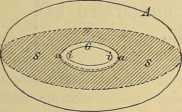 An illustration from Magnetische Kraftfelder : die Erscheinungen des Magnetismus, Elektromagnetismus und der Induktion dargestellt auf Grund des Kraftlinien-Begriffe, 1905, leaf 206