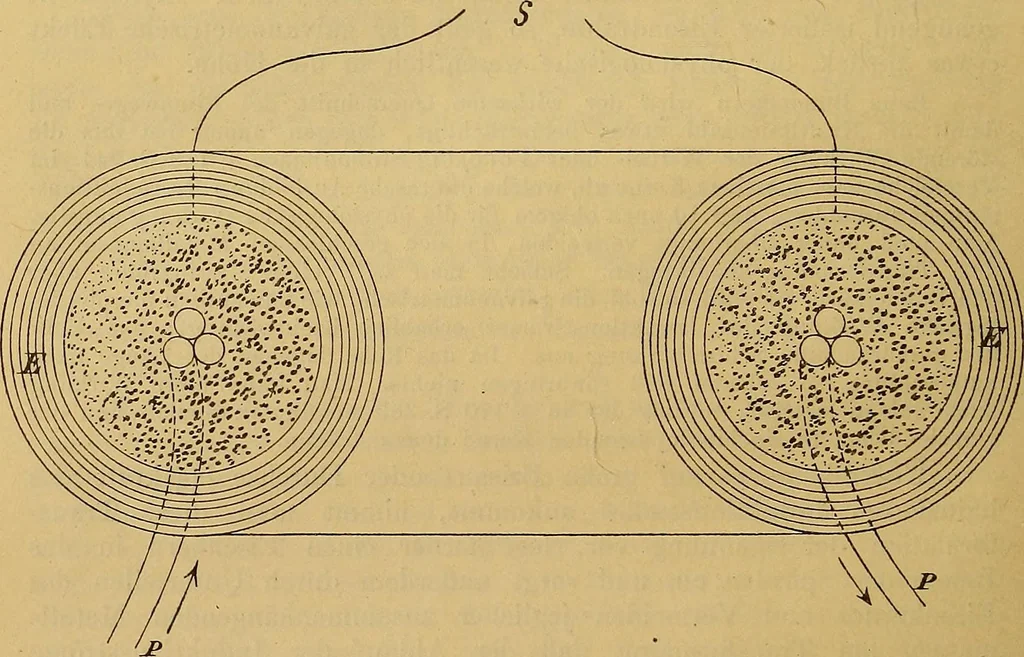 An illustration from Magnetische Kraftfelder : die Erscheinungen des Magnetismus, Elektromagnetismus und der Induktion dargestellt auf Grund des Kraftlinien-Begriffe, 1905, leaf 319