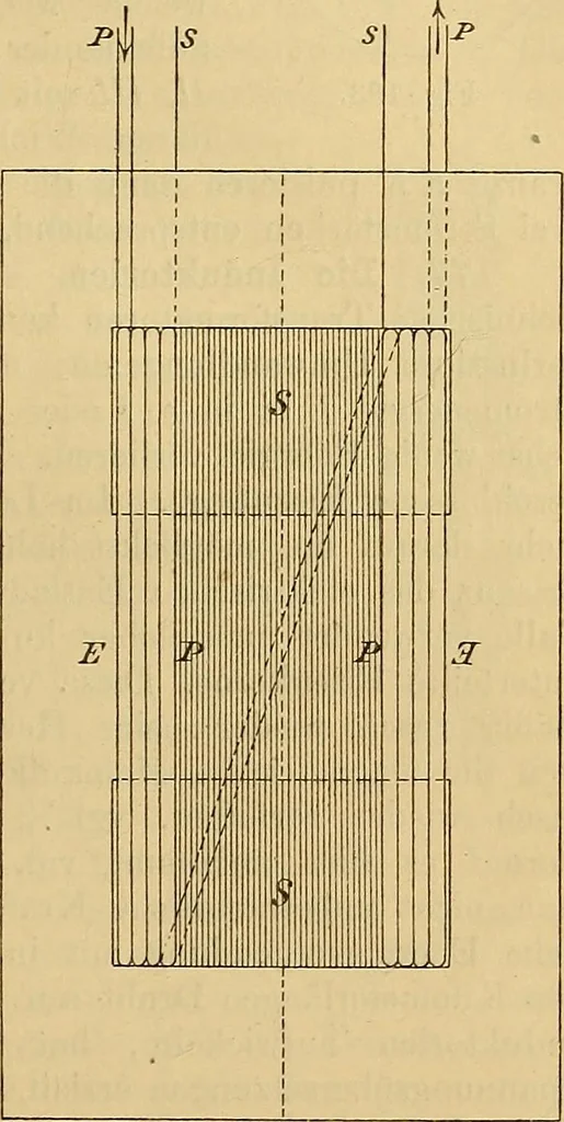 An illustration from Magnetische Kraftfelder : die Erscheinungen des Magnetismus, Elektromagnetismus und der Induktion dargestellt auf Grund des Kraftlinien-Begriffe, 1905, leaf 320