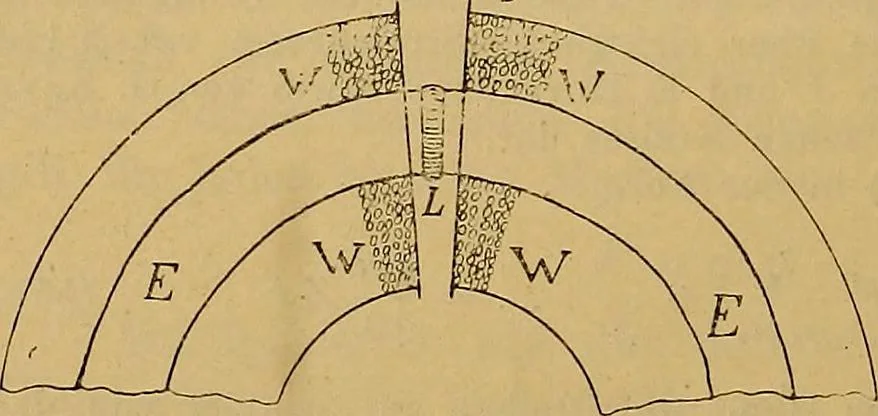 An illustration from Magnetische Kraftfelder : die Erscheinungen des Magnetismus, Elektromagnetismus und der Induktion dargestellt auf Grund des Kraftlinien-Begriffe, 1905, leaf 361