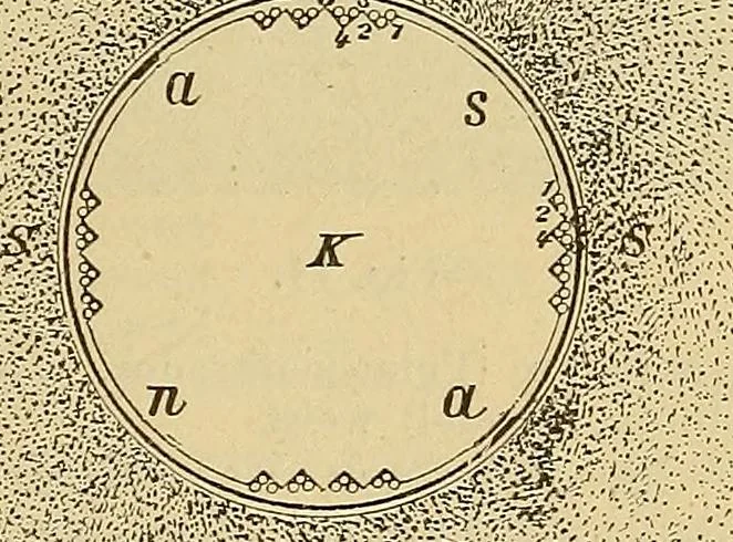 An illustration from Magnetische Kraftfelder : die Erscheinungen des Magnetismus, Elektromagnetismus und der Induktion dargestellt auf Grund des Kraftlinien-Begriffe, 1905, leaf 40