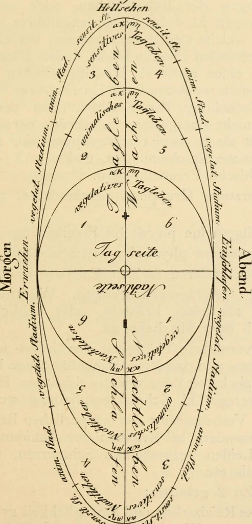 An illustration from Magnetismus und Hypnotismus; eine Darstellung dieses Gebietes, mit besonderer Berücksichtigung der Beziehungen zwischen dem mineralischen Magnetismus, dem sogenannten thierischen Magnetismus und dem Hypnotismus, 1895, leaf 136