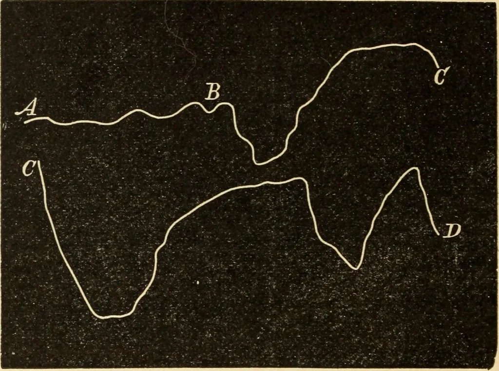 An illustration from Magnetismus und Hypnotismus; eine Darstellung dieses Gebietes, mit besonderer Berücksichtigung der Beziehungen zwischen dem mineralischen Magnetismus, dem sogenannten thierischen Magnetismus und dem Hypnotismus, 1895, leaf 193