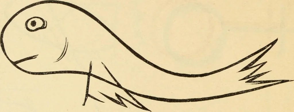 An illustration from Magnetismus und Hypnotismus; eine Darstellung dieses Gebietes, mit besonderer Berücksichtigung der Beziehungen zwischen dem mineralischen Magnetismus, dem sogenannten thierischen Magnetismus und dem Hypnotismus, 1895, leaf 249