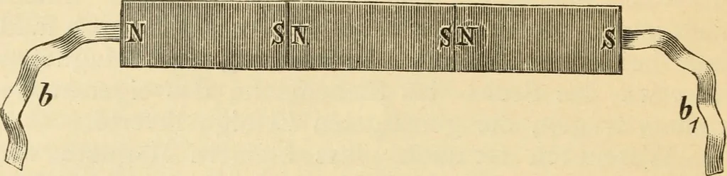An illustration from Magnetismus und Hypnotismus; eine Darstellung dieses Gebietes, mit besonderer Berücksichtigung der Beziehungen zwischen dem mineralischen Magnetismus, dem sogenannten thierischen Magnetismus und dem Hypnotismus, 1895, leaf 35