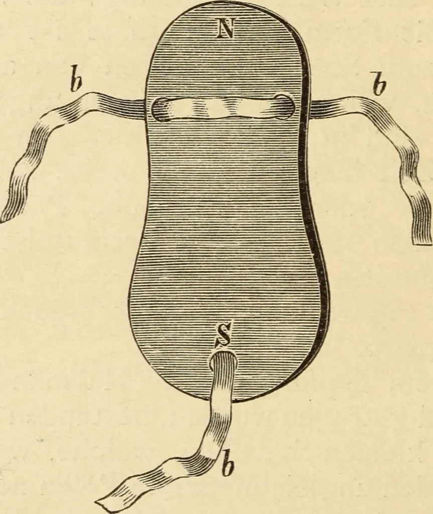 An illustration from Magnetismus und Hypnotismus; eine Darstellung dieses Gebietes, mit besonderer Berücksichtigung der Beziehungen zwischen dem mineralischen Magnetismus, dem sogenannten thierischen Magnetismus und dem Hypnotismus, 1895, leaf 35