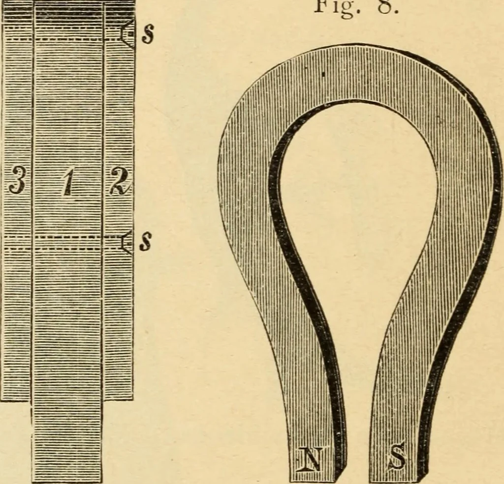 An illustration from Magnetismus und Hypnotismus; eine Darstellung dieses Gebietes, mit besonderer Berücksichtigung der Beziehungen zwischen dem mineralischen Magnetismus, dem sogenannten thierischen Magnetismus und dem Hypnotismus, 1895, leaf 37