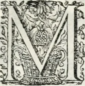 An illustration from Magnus in ortu; maximus in meridie; major in occasu : semperque serenissimus principum sol Maximilianus Emanuel, utr. Bav. & Palat. Sup. Dux., Com. Pal. Rheni, S.R. Imp. Archidap. & Elector, Landr. Leucht. &c., seu, Apparatus funebris litterarius extremis honoribus ejusdem Serenmi. ac Potentissimi Princ. Electoris adornatus, cùm in Elect. Templo Cler. Reg. solennes exequiae eidem piissimè defuncto electori celebrarentur, 1727, leaf 118