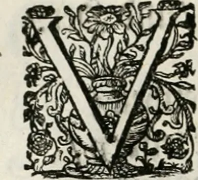 An illustration from Magnus in ortu; maximus in meridie; major in occasu : semperque serenissimus principum sol Maximilianus Emanuel, utr. Bav. & Palat. Sup. Dux., Com. Pal. Rheni, S.R. Imp. Archidap. & Elector, Landr. Leucht. &c., seu, Apparatus funebris litterarius extremis honoribus ejusdem Serenmi. ac Potentissimi Princ. Electoris adornatus, cùm in Elect. Templo Cler. Reg. solennes exequiae eidem piissimè defuncto electori celebrarentur, 1727, leaf 123