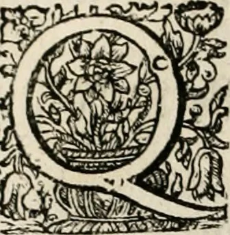 An illustration from Magnus in ortu; maximus in meridie; major in occasu : semperque serenissimus principum sol Maximilianus Emanuel, utr. Bav. & Palat. Sup. Dux., Com. Pal. Rheni, S.R. Imp. Archidap. & Elector, Landr. Leucht. &c., seu, Apparatus funebris litterarius extremis honoribus ejusdem Serenmi. ac Potentissimi Princ. Electoris adornatus, cùm in Elect. Templo Cler. Reg. solennes exequiae eidem piissimè defuncto electori celebrarentur, 1727, leaf 133