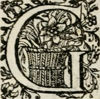 An illustration from Magnus in ortu; maximus in meridie; major in occasu : semperque serenissimus principum sol Maximilianus Emanuel, utr. Bav. & Palat. Sup. Dux., Com. Pal. Rheni, S.R. Imp. Archidap. & Elector, Landr. Leucht. &c., seu, Apparatus funebris litterarius extremis honoribus ejusdem Serenmi. ac Potentissimi Princ. Electoris adornatus, cùm in Elect. Templo Cler. Reg. solennes exequiae eidem piissimè defuncto electori celebrarentur, 1727, leaf 143