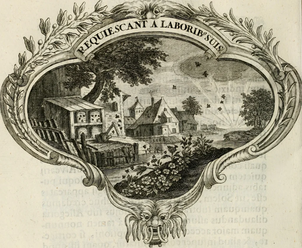 An illustration from Magnus in ortu; maximus in meridie; major in occasu : semperque serenissimus principum sol Maximilianus Emanuel, utr. Bav. & Palat. Sup. Dux., Com. Pal. Rheni, S.R. Imp. Archidap. & Elector, Landr. Leucht. &c., seu, Apparatus funebris litterarius extremis honoribus ejusdem Serenmi. ac Potentissimi Princ. Electoris adornatus, cùm in Elect. Templo Cler. Reg. solennes exequiae eidem piissimè defuncto electori celebrarentur, 1727, leaf 149