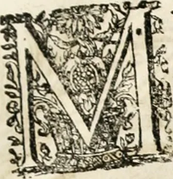 An illustration from Magnus in ortu; maximus in meridie; major in occasu : semperque serenissimus principum sol Maximilianus Emanuel, utr. Bav. & Palat. Sup. Dux., Com. Pal. Rheni, S.R. Imp. Archidap. & Elector, Landr. Leucht. &c., seu, Apparatus funebris litterarius extremis honoribus ejusdem Serenmi. ac Potentissimi Princ. Electoris adornatus, cùm in Elect. Templo Cler. Reg. solennes exequiae eidem piissimè defuncto electori celebrarentur, 1727, leaf 168