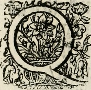 An illustration from Magnus in ortu; maximus in meridie; major in occasu : semperque serenissimus principum sol Maximilianus Emanuel, utr. Bav. & Palat. Sup. Dux., Com. Pal. Rheni, S.R. Imp. Archidap. & Elector, Landr. Leucht. &c., seu, Apparatus funebris litterarius extremis honoribus ejusdem Serenmi. ac Potentissimi Princ. Electoris adornatus, cùm in Elect. Templo Cler. Reg. solennes exequiae eidem piissimè defuncto electori celebrarentur, 1727, leaf 173