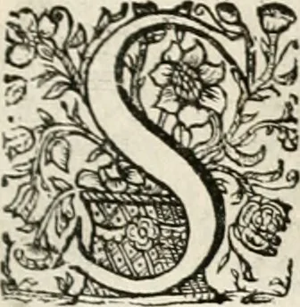 An illustration from Magnus in ortu; maximus in meridie; major in occasu : semperque serenissimus principum sol Maximilianus Emanuel, utr. Bav. & Palat. Sup. Dux., Com. Pal. Rheni, S.R. Imp. Archidap. & Elector, Landr. Leucht. &c., seu, Apparatus funebris litterarius extremis honoribus ejusdem Serenmi. ac Potentissimi Princ. Electoris adornatus, cùm in Elect. Templo Cler. Reg. solennes exequiae eidem piissimè defuncto electori celebrarentur, 1727, leaf 182