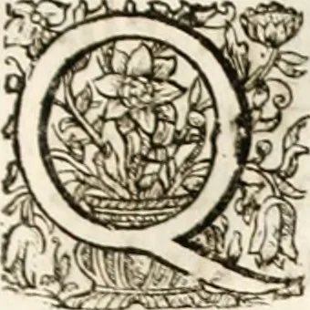 An illustration from Magnus in ortu; maximus in meridie; major in occasu : semperque serenissimus principum sol Maximilianus Emanuel, utr. Bav. & Palat. Sup. Dux., Com. Pal. Rheni, S.R. Imp. Archidap. & Elector, Landr. Leucht. &c., seu, Apparatus funebris litterarius extremis honoribus ejusdem Serenmi. ac Potentissimi Princ. Electoris adornatus, cùm in Elect. Templo Cler. Reg. solennes exequiae eidem piissimè defuncto electori celebrarentur, 1727, leaf 204