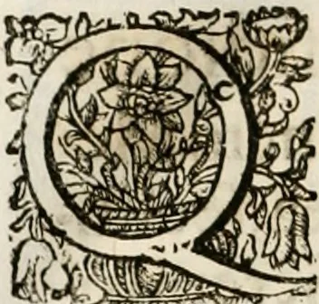 An illustration from Magnus in ortu; maximus in meridie; major in occasu : semperque serenissimus principum sol Maximilianus Emanuel, utr. Bav. & Palat. Sup. Dux., Com. Pal. Rheni, S.R. Imp. Archidap. & Elector, Landr. Leucht. &c., seu, Apparatus funebris litterarius extremis honoribus ejusdem Serenmi. ac Potentissimi Princ. Electoris adornatus, cùm in Elect. Templo Cler. Reg. solennes exequiae eidem piissimè defuncto electori celebrarentur, 1727, leaf 205
