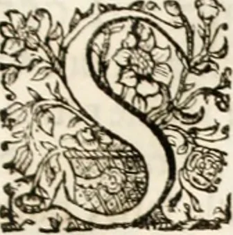 An illustration from Magnus in ortu; maximus in meridie; major in occasu : semperque serenissimus principum sol Maximilianus Emanuel, utr. Bav. & Palat. Sup. Dux., Com. Pal. Rheni, S.R. Imp. Archidap. & Elector, Landr. Leucht. &c., seu, Apparatus funebris litterarius extremis honoribus ejusdem Serenmi. ac Potentissimi Princ. Electoris adornatus, cùm in Elect. Templo Cler. Reg. solennes exequiae eidem piissimè defuncto electori celebrarentur, 1727, leaf 206
