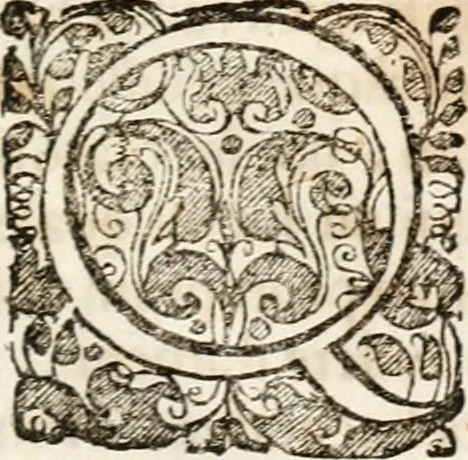 An illustration from Magnus in ortu; maximus in meridie; major in occasu : semperque serenissimus principum sol Maximilianus Emanuel, utr. Bav. & Palat. Sup. Dux., Com. Pal. Rheni, S.R. Imp. Archidap. & Elector, Landr. Leucht. &c., seu, Apparatus funebris litterarius extremis honoribus ejusdem Serenmi. ac Potentissimi Princ. Electoris adornatus, cùm in Elect. Templo Cler. Reg. solennes exequiae eidem piissimè defuncto electori celebrarentur, 1727, leaf 208